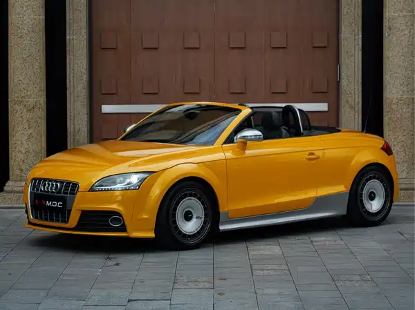 Audi TTS 2009