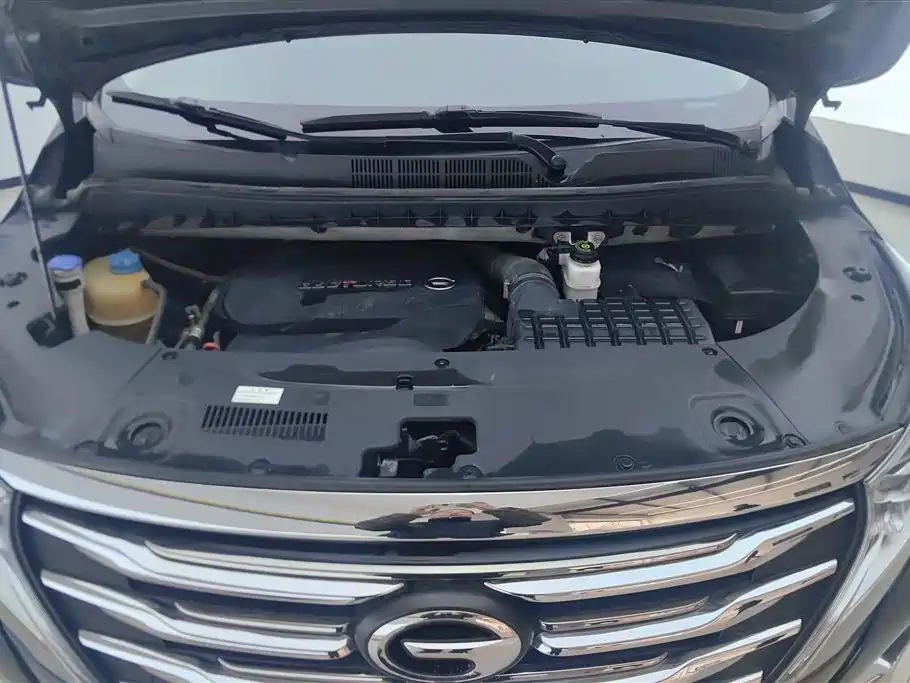 GAC Motor Trumpchi M8 2020 — фото 10