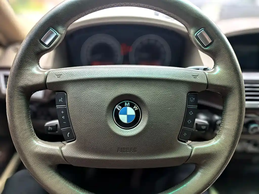 BMW 7 Series 2008 — фото 20