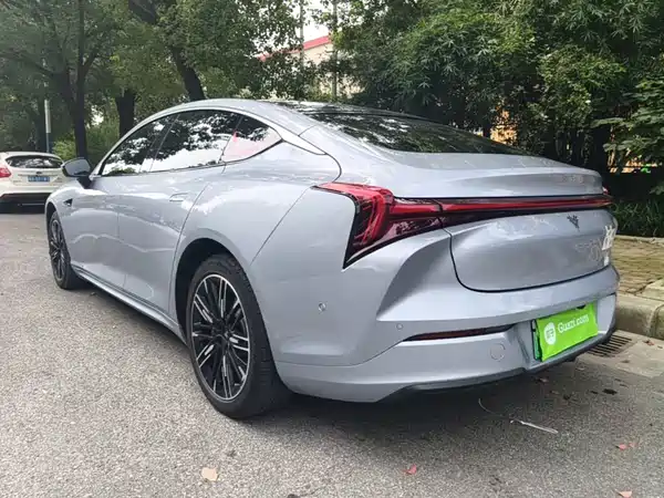 Neta S 2024