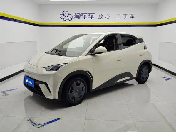 BYD Seagull 2024