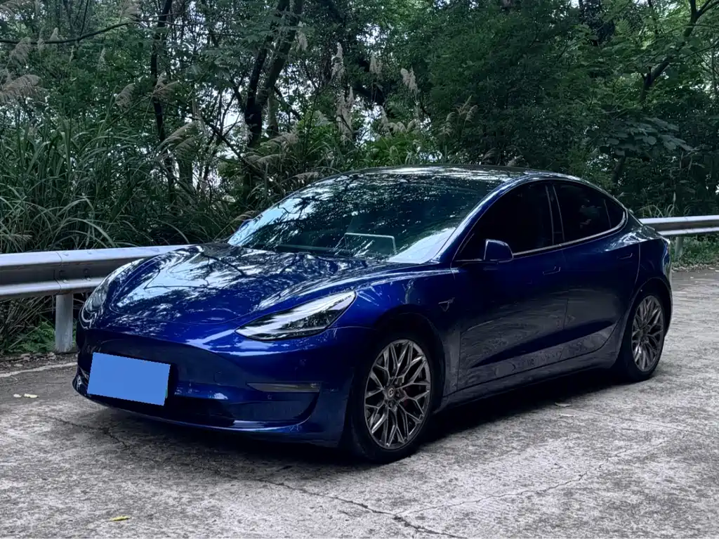 Tesla Model 3 2021