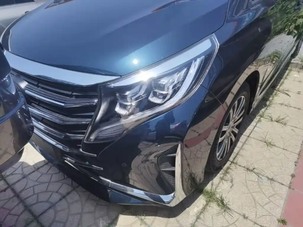 GAC Motor Trumpchi M8 2022 — фото 24