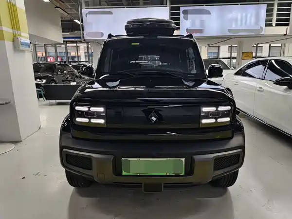 Baojun Yep 2024