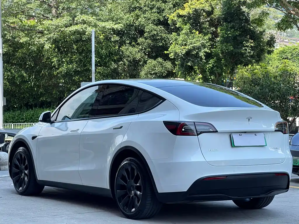 Tesla Model Y 2023 — фото 6