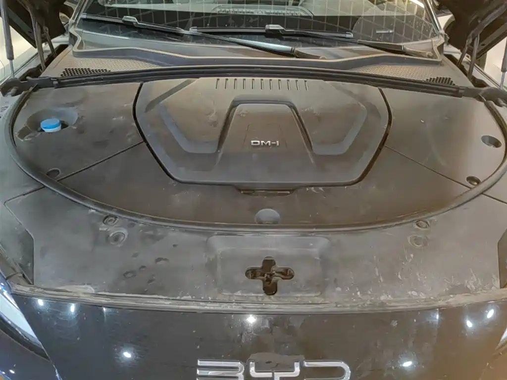 BYD PLUS New Energy 2024 — фото 20