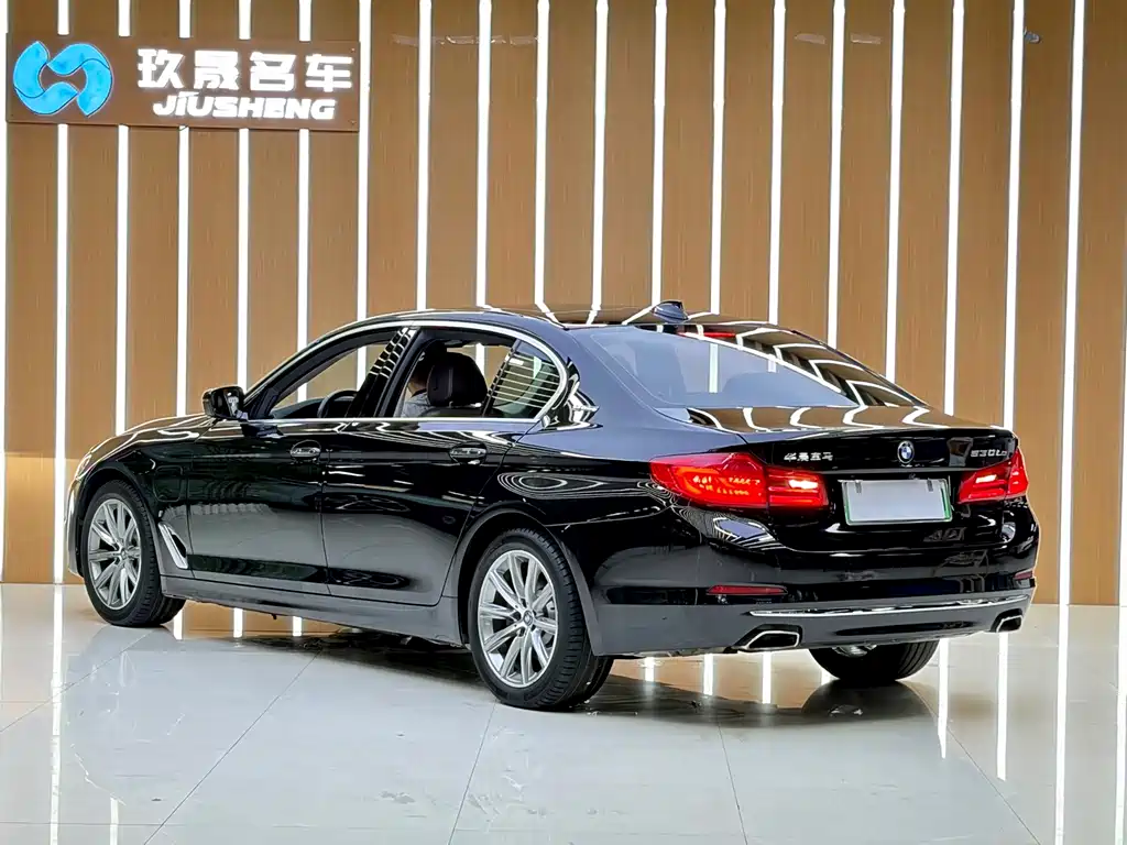 BMW 5 Series New Energy 2018 — фото 18
