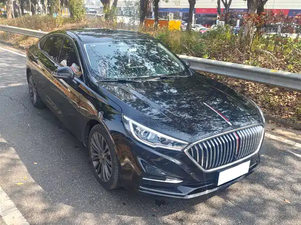 Hongqi H5 2020