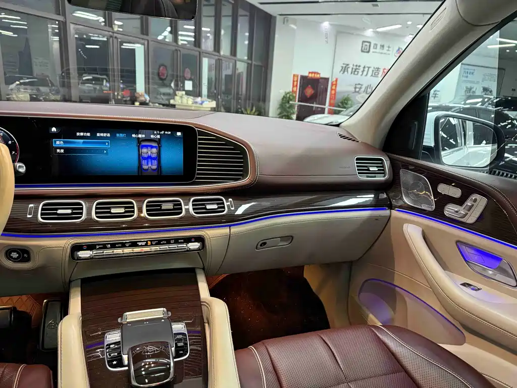 Mercedes-Benz Maybach GLS 2021 — фото 19