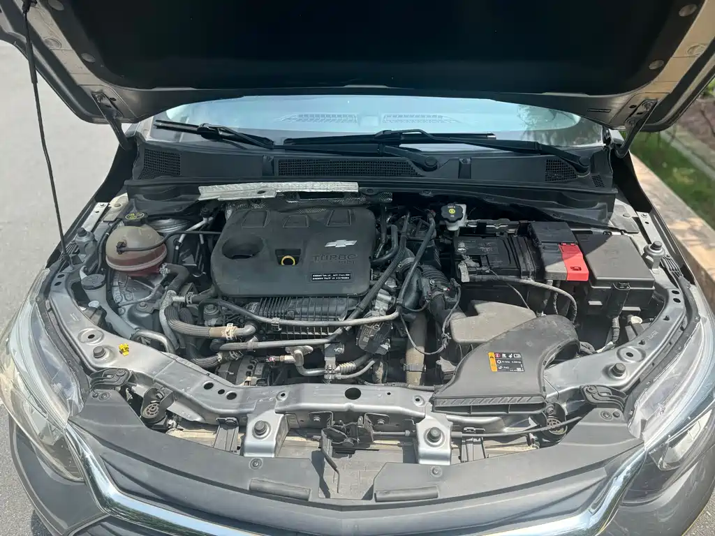 Chevrolet Cavalier 2019 — фото 15