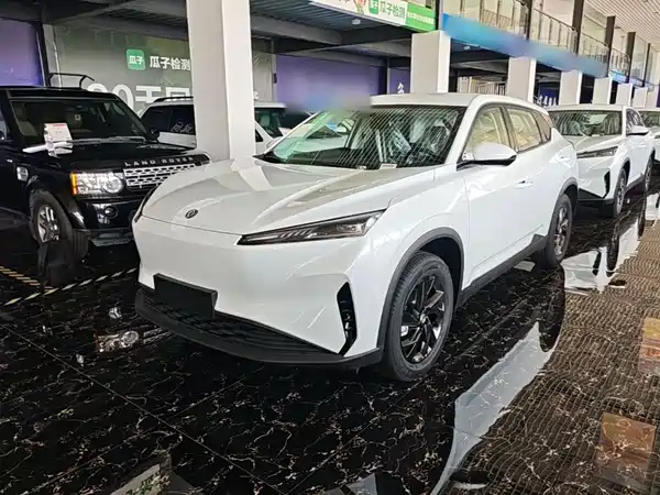 Dongfeng Aeolus SKY 2025