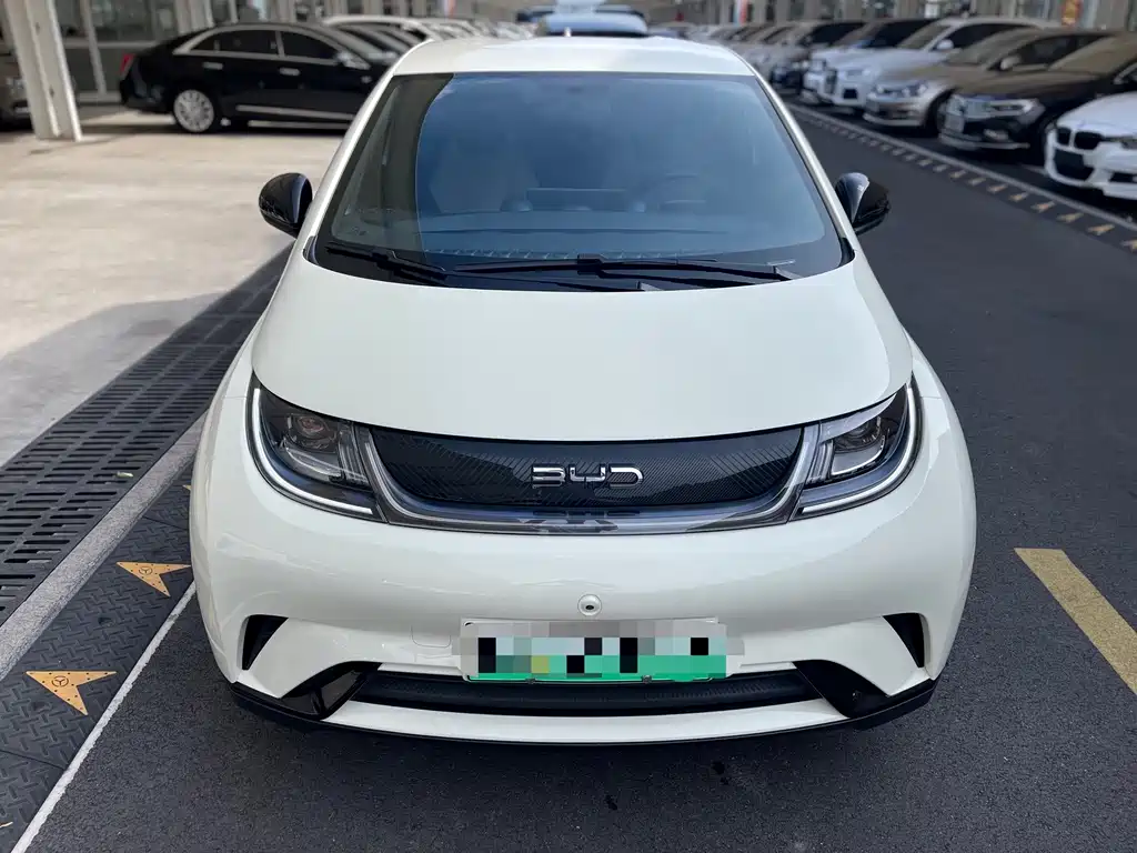 BYD Dolphin 2026