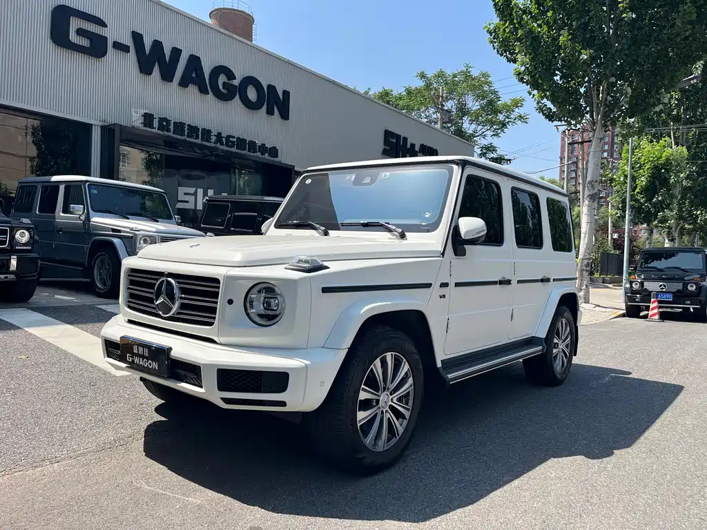 Mercedes-Benz G-Class 2020 — фото 1