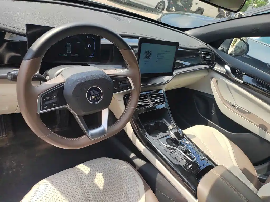 BYD Qin PLUS 2024 — фото 12