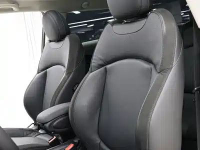 MINI MINI 2022