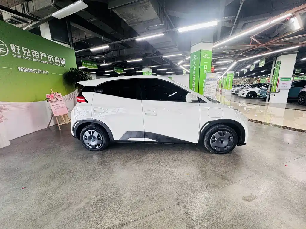 BYD Seagull 2025