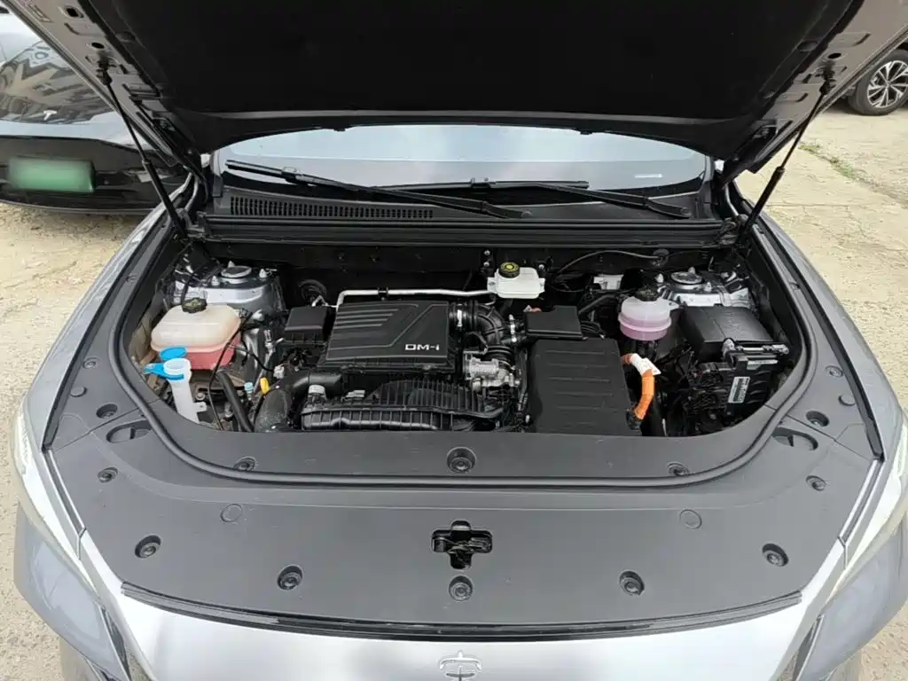 BYD Song Pro New Energy 2024 — фото 16