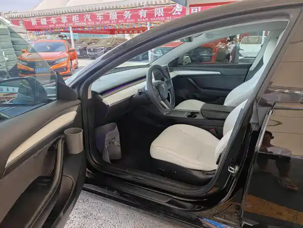 Tesla Model 3 2021