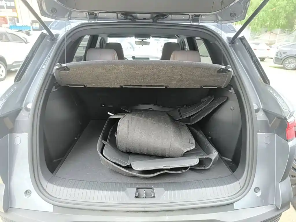 BYD Song Pro New Energy 2024 — фото 15