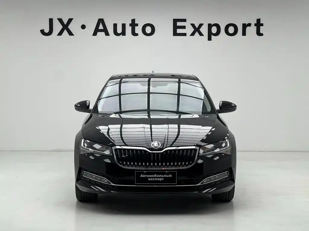 Skoda Speedy 2024