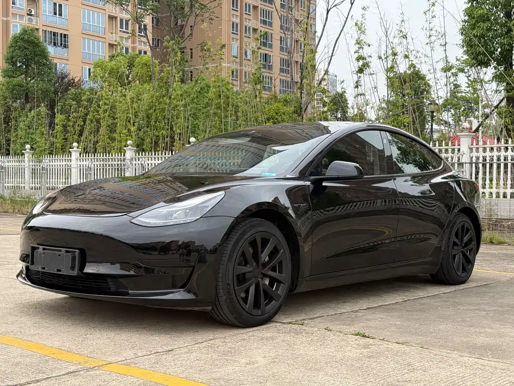 Tesla Model 3 2021 — фото 1