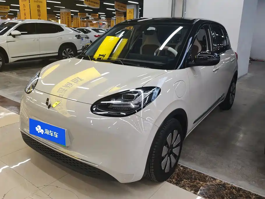 Wuling Bingo 2024