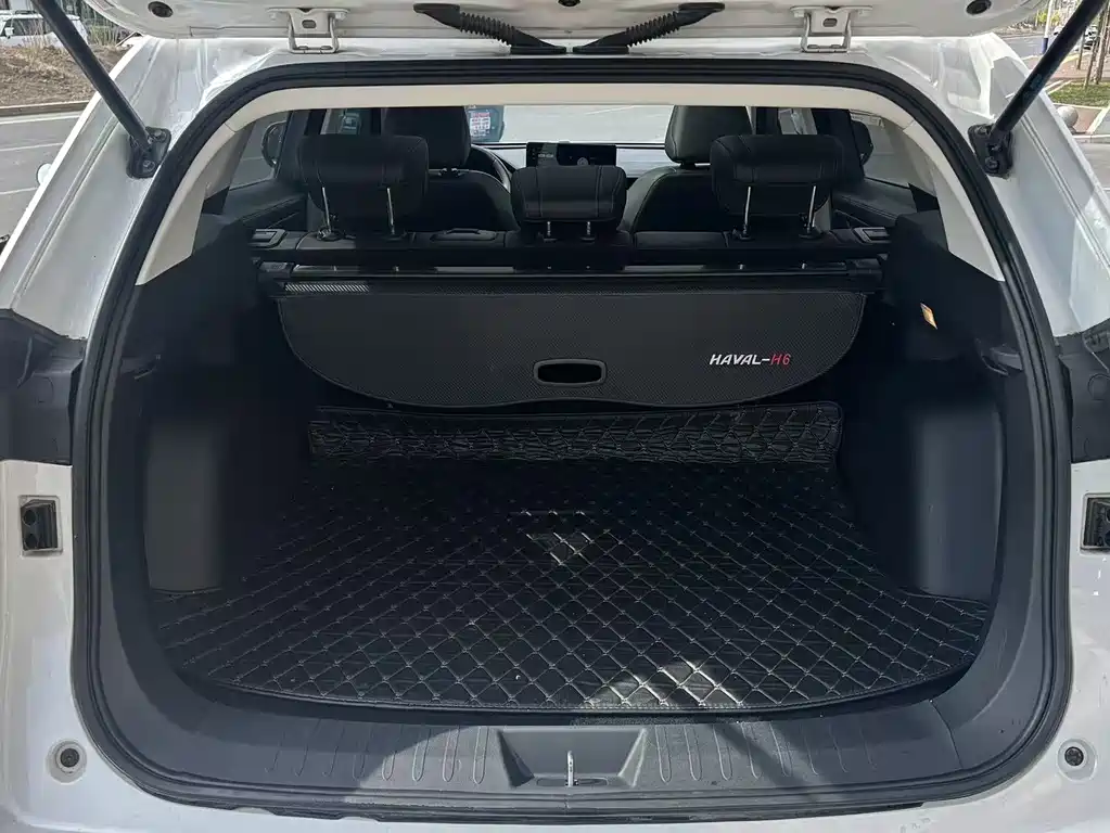 Haval H6 2021 — фото 15