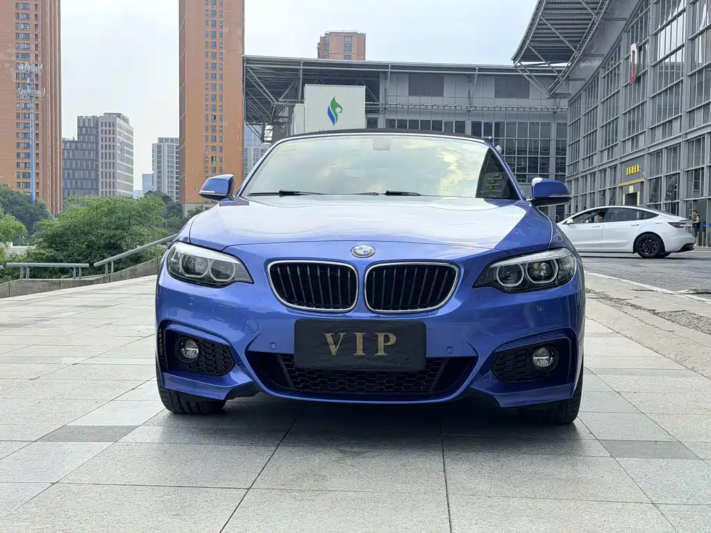 BMW 2 Series 2018 — фото 16