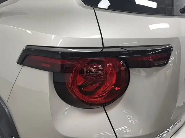 Haval Dargo PLUS EV 2025 — фото 15