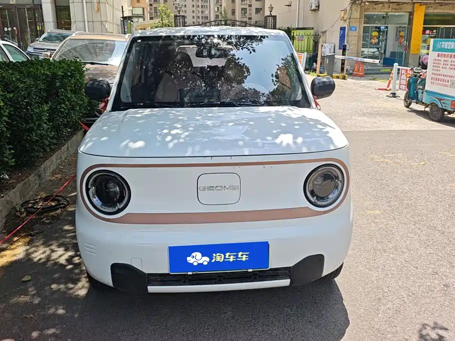 Geely Galaxy Panda 2024