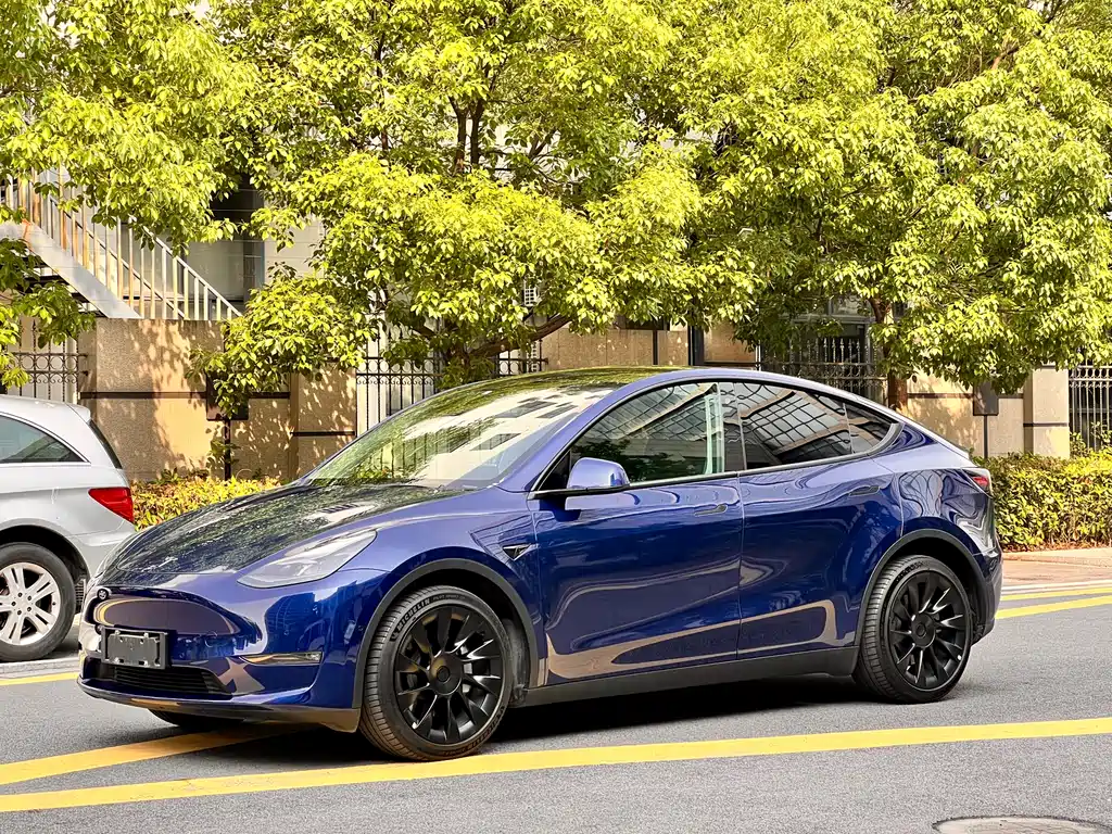 Tesla Model Y 2021 — фото 1
