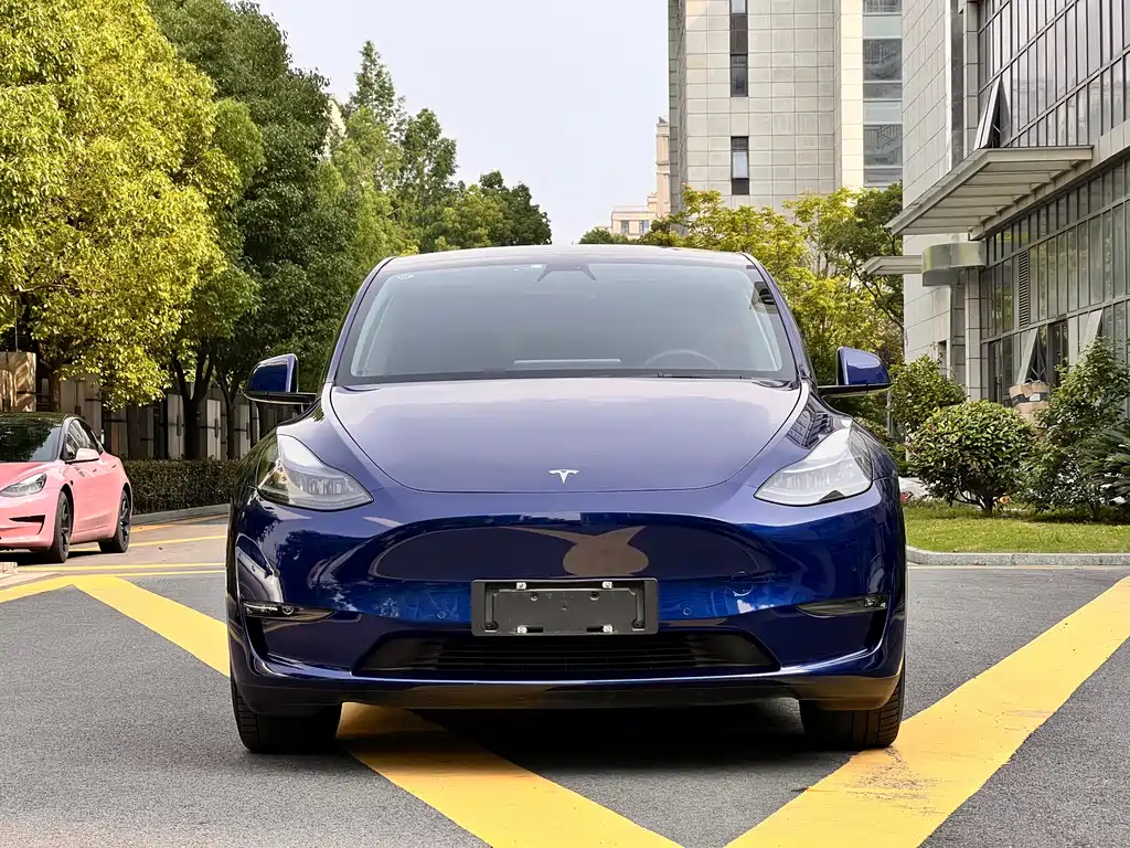 Tesla Model Y 2021 — фото 2