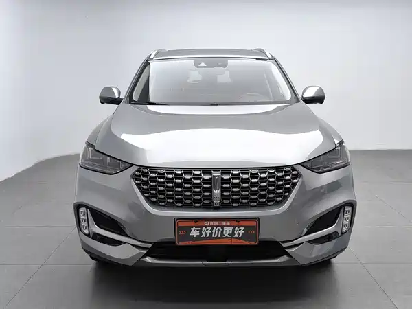 Wey VV6 2021