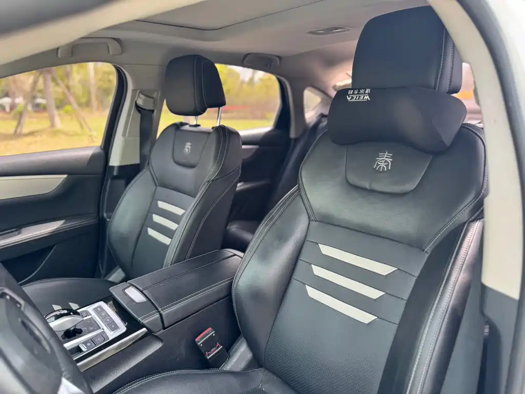 BYD Qin Pro NEV 2020 — фото 12