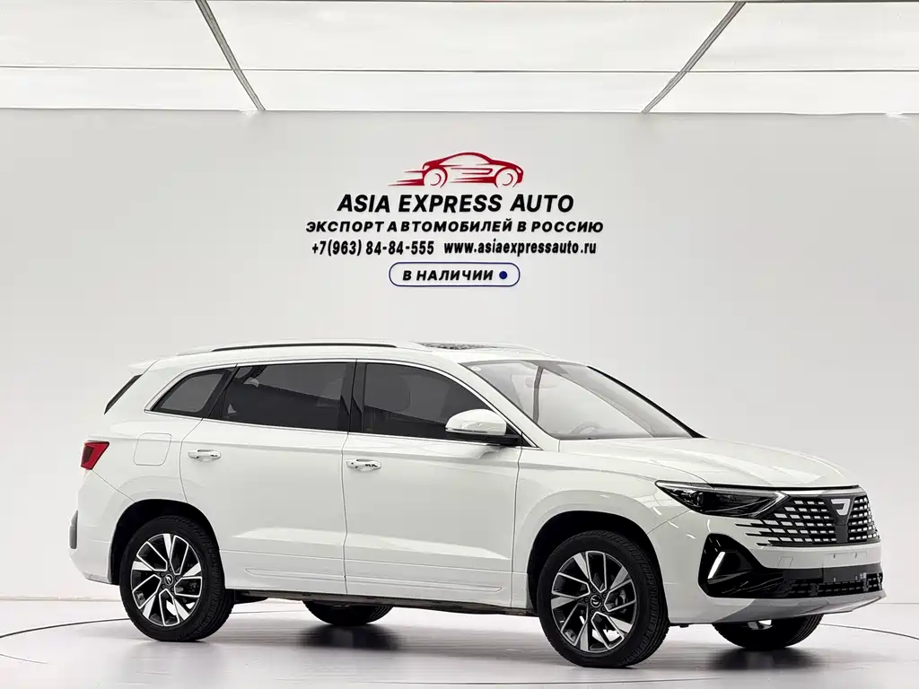 Jetta VS7 2024
