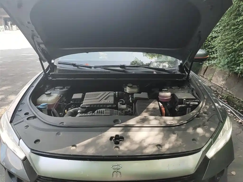 BYD Pro New Energy 2023 — фото 20