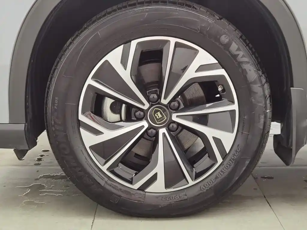BYD Song Pro New Energy 2025 — фото 17