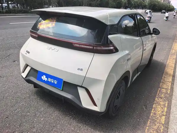 BYD Seagull 2024