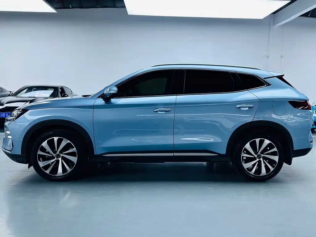 BYD PLUS New Energy 2024 — фото 12