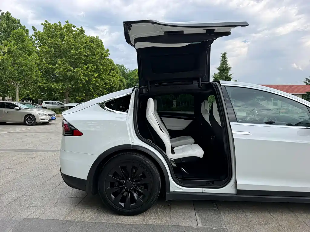 Tesla Model X 2016 — фото 20