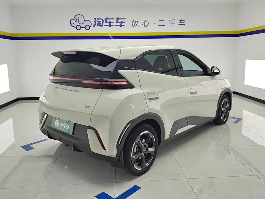 BYD Seagull 2024