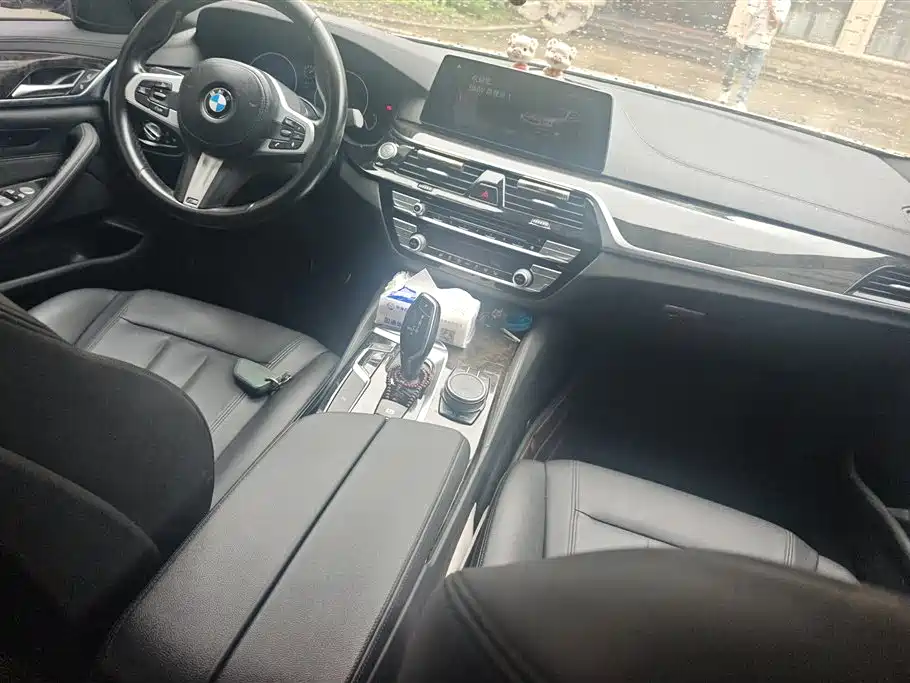 BMW 5 Series 2019 — фото 12