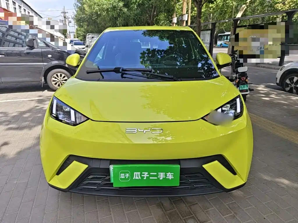 BYD Seagull 2024