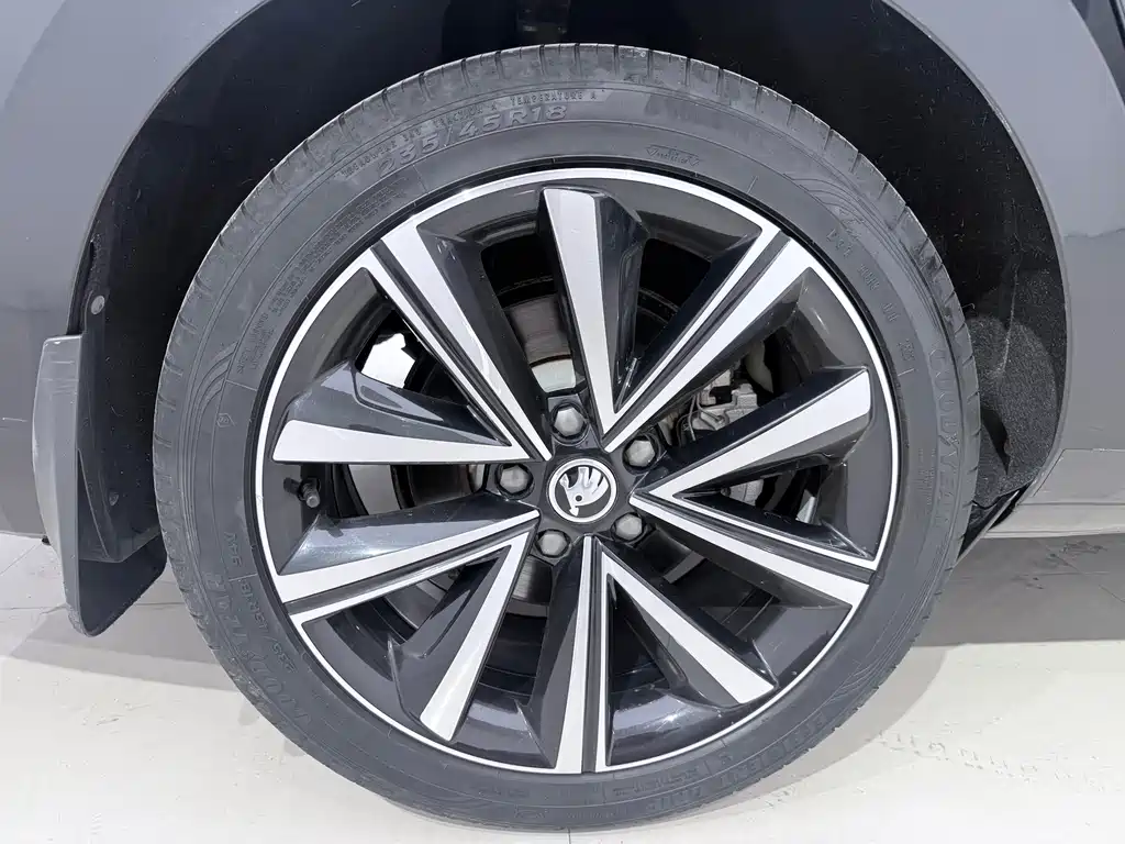 Skoda Speedy 2023 — фото 15