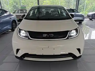 BYD Dolphin 2026