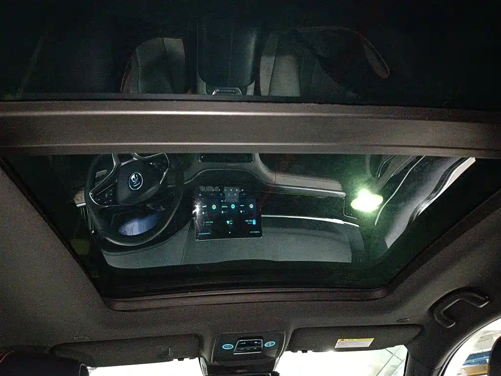 BYD PLUS New Energy 2021 — фото 15
