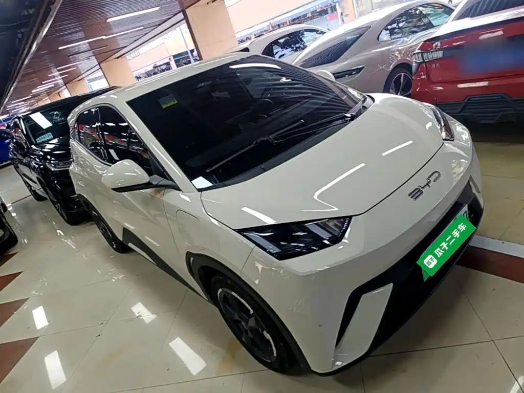 BYD Seagull 2023
