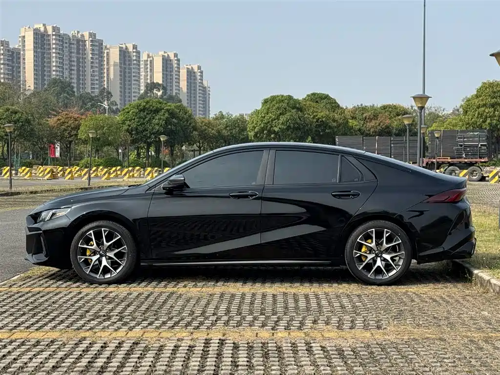 GAC Motor Shadow Leopard 2023 — фото 6