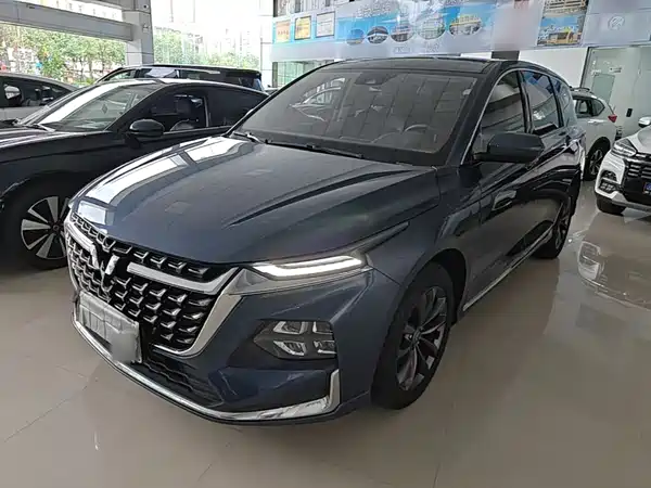 Wuling Victory 2024