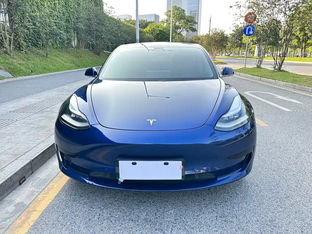 Tesla Model 3 2020 — фото 1